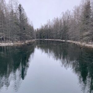 Meet your Posher, Julian